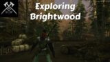 Exploring Brightwood In New World