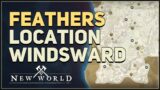 Feathers Location New World Windsward