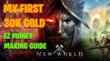 How I made my first 30k in New World