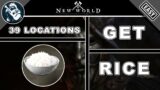 How to Get Rice in New World | 39 Locations | Cooking Crafting Recipes Guide