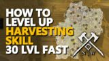 How to Level up Harvesting Skill New World