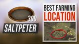 How to get SALTPETER in New World – Best Farming Location Guide