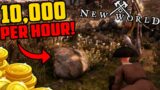 INSANE Goldfarm in New World – 10,000 Gold Per Hour (or MORE)
