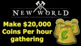 INSANE New World money farming route, 20,000 coins per hour