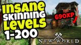INSANE Skinning Leveling Spot 70-200 | 690XP Per Kill: NEW WORLD MMORPG