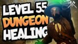 LEVEL 55+ Dungeon Healing in New World!