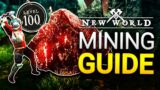 Level Up FAST!! (Route & Tips) – New World Mining Guide