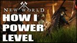 Level Up Fast And Efficient – New World