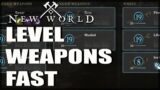 Level Your Weapons To 20 Fast!