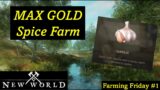 MAX GOLD FARM – New World – Big Brain Harvesting Guide – Level 1 – 60 (Farming Friday #1)