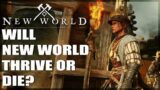 My Thoughts On The Future Of New World