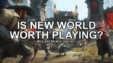 My experience with New World's launch so far
