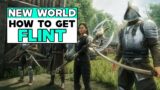 NEW WORLD How To Get FLINT
