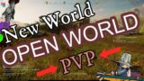 NEW WORLD PVP – Taking The Windsward Fort!