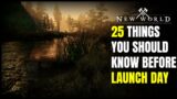 New World – 25 Things You Should Know Before Launch Day