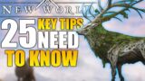New World 25+ Tips You NEED To Know! – NEW WORLD MMO