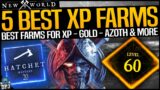 New World: 5 BEST XP FARMS – Fast Level 60 – Fast Weapon Xp, Character XP, Loot, Gold, Azoth & More