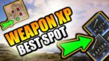 New World BEST Weapon XP Grind SPOT – New World MMO Weapon XP Grind Zone! ELITE CHESTS & XP!