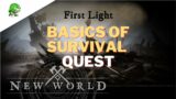 New World Basics of Survival