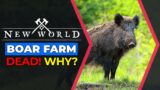 New World Boar Farm – Why is it dead?