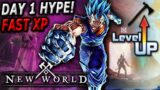 New World Day 1 Launch HYPE! Themiscyra Server! Power leveling & Questing