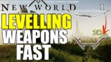 New World – FAST Levelling Your Weapons – You NEED To Be Doing This