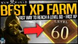 New World: FASTEST WAY TO REACH LEVEL 60 – DO THIS NOW – BEST XP FARMING GUIDE – Fast & Easy XP