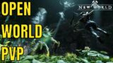 New World – Huge Open World PVP Battle