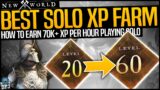 New World: INSANE SOLO XP FARM FAST LEVEL UP – 70k+ XP Per Hour – Best Weapon & Character XP Farm