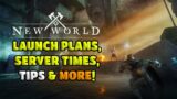 New World Launch Plans, Controller Settings & Leveling Tips!