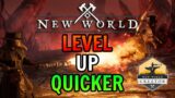 New World Level Up Effectively! Faster & More Fun Levelling!