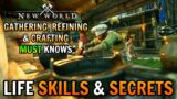 New World Life Skills & Secrets – Everything You NEED To Know!