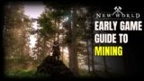 New World MMO – Early Game Mining Guide