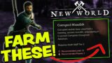 New World MMO FASTEST XP FARM & Quick Guide! Power Leveling 30+ in New World is SO EASY With These!