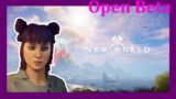 New World Open Beta – Die Taschen immer voll  – Play New World Live #07 | Aloexis