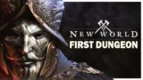 New World PVE Dungeon First Impressions – New World Gameplay Part 3