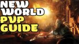 New World PvP Guide