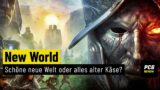 New World | REVIEW | Amazon greift den MMO-Thron an!