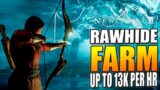 New World Rawhide Farm – Make 13K Rawhide per Hour – Solo Method