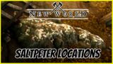 New World SaltPeter: Easy To Find Locations.