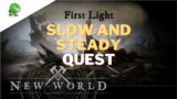 New World Slow and Steady