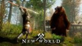 New World Stream – Old Wizard