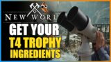 New World – T4 Trophy AND Furnishing/Cooking Recipe Supply ChestRoute! Incredible Droprates!