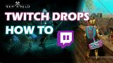 New World Twitch Drops Prime Loot How To Claim & Equip Complete Guide