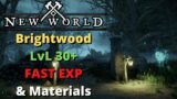 New World Ultimate Brightwood Leveling Run! Fast Exp, Materials, Quests!