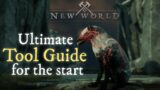 New World: Understanding Tools – A Guide