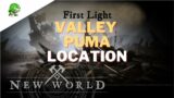 New World Valley Puma location [Best Puma location]
