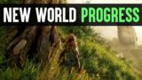 New World: What It's Like 80 Hours In