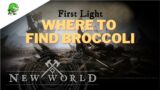 New World Where to find Broccoli