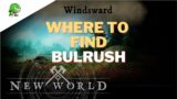 New World Where to find Bulrush